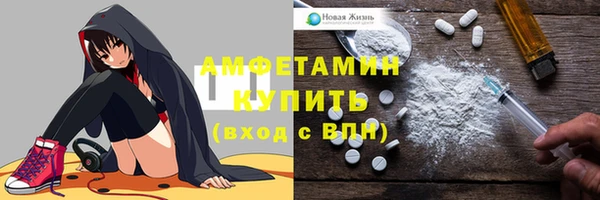 шишки Бронницы