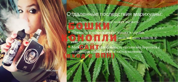 шишки Бронницы