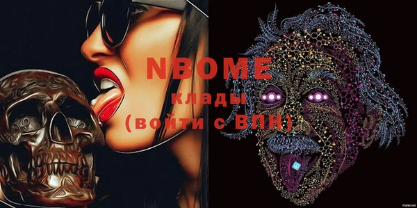 шишки Снежногорск