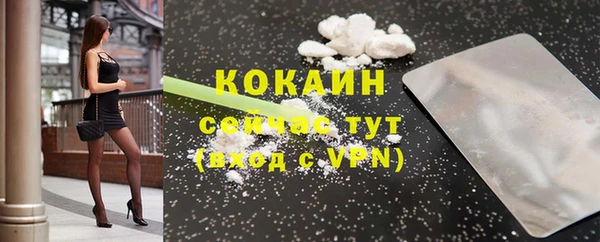 шишки Бронницы