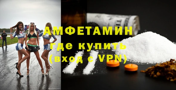 индика Богородицк